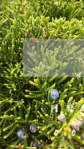 网贷3000逾期了3年要还多少-网贷3000逾期了3年要还多少钱