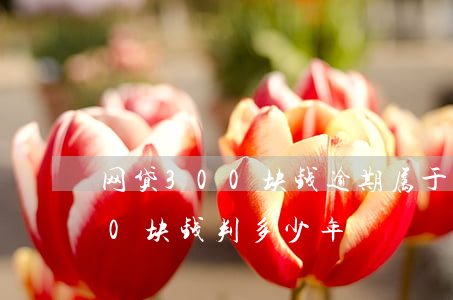 网贷300块钱逾期属于诈骗犯(网贷3000块钱判多少年)