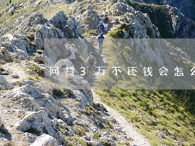 网贷3万不还钱会怎么样