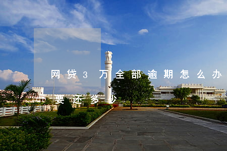 网贷3万全部逾期怎么办(网贷三千逾期一年要还多少)
