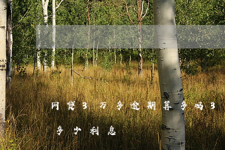 网贷3万多逾期算多吗(3万网贷逾期一年是多少利息)