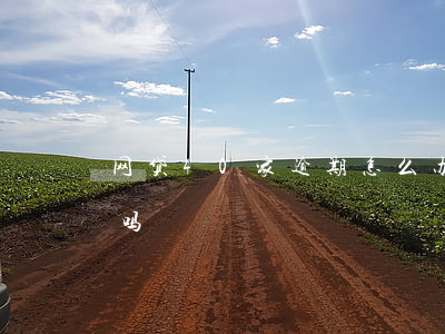 网贷40家逾期怎么办(网贷逾期二十天严重吗)