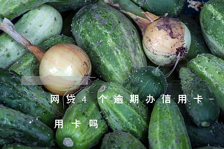 网贷4个逾期办信用卡-网贷逾期了能办信用卡吗