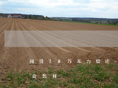 网贷78万无力偿还-网贷78万无力偿还会怎样