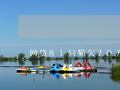 网贷81只猫欠70万(网贷欠7000)