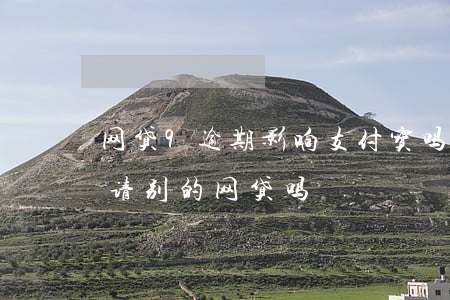网贷9逾期影响支付宝吗(支付宝逾期还能申请别的网贷吗)