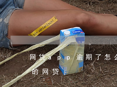 网贷app逾期了怎么办(有当前逾期可以过的网贷)