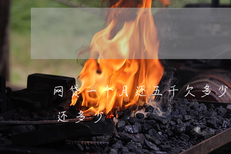 网贷一个月还五千欠多少钱(网贷五万一个月还多少)