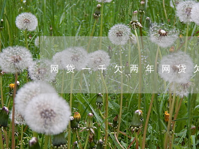 网贷一千欠两年(网贷欠了一年)