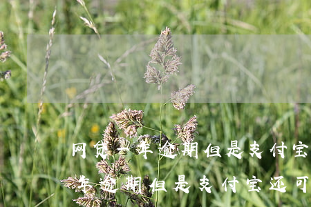 网贷一年逾期但是支付宝还可以用-网贷一年逾期但是支付宝还可以用吗