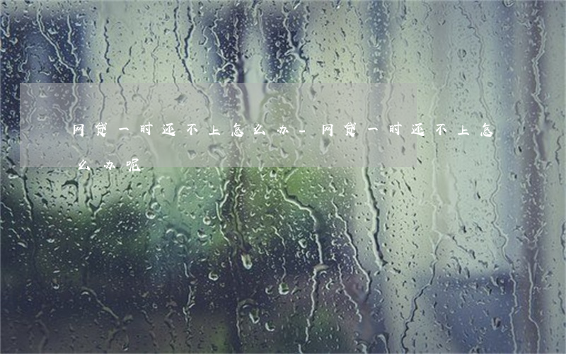 网贷一时还不上怎么办-网贷一时还不上怎么办呢