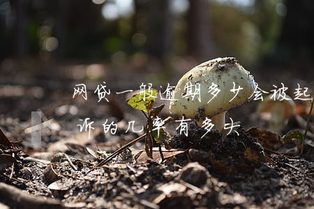 网贷一般逾期多少会被起诉-网贷逾期被起诉的几率有多大