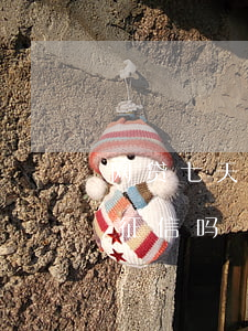 网贷七天不还会上征信吗(网贷逾期8天会上征信吗)