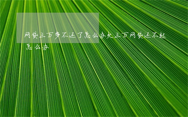 网贷三万多不还了怎么办(欠三万网贷还不起怎么办)