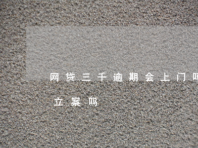 网贷三千逾期会上门吗(网贷3000逾期能立案吗)