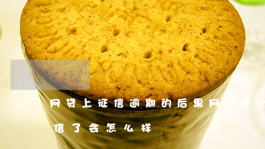 网贷上征信逾期的后果(网贷不小心逾期上征信了会怎么样)