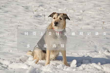 网贷上支付宝逾期记录(支付宝里的网贷记录多久能消除)