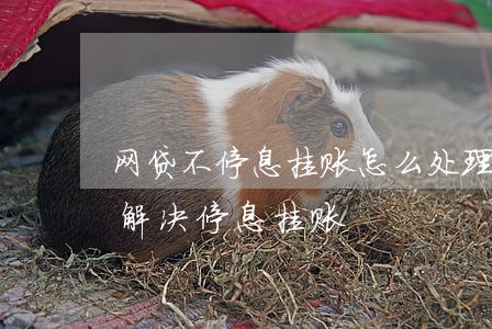 网贷不停息挂账怎么处理(网贷逾期如何协商解决停息挂账)