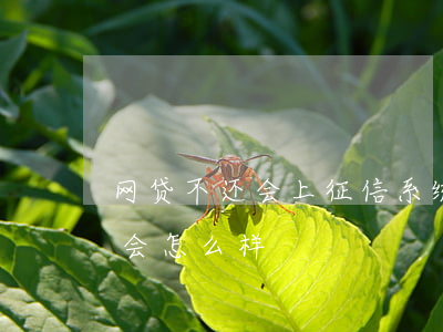 网贷不还会上征信系统吗(上征信的网贷不还会怎么样)