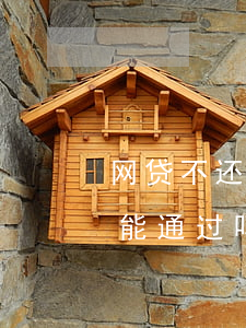 网贷不还会不会通知政审(欠网贷公务员政审能通过吗?)