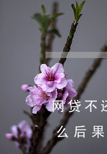 网贷不还会不会黑身份证(黑网贷不还会有什么后果)