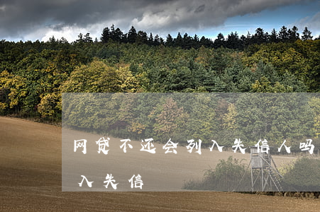 网贷不还会列入失信人吗(网贷欠款多少可纳入失信)