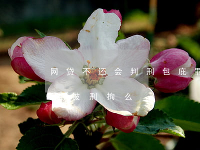 网贷不还会判刑包庇罪吗(所有的网贷不还款能被刑拘么)
