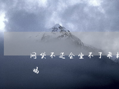 网贷不还会坐不了飞机吗(网贷不还能坐高铁吗)