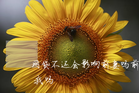 网贷不还会影响前妻吗(前夫网贷逾期会影响我吗)