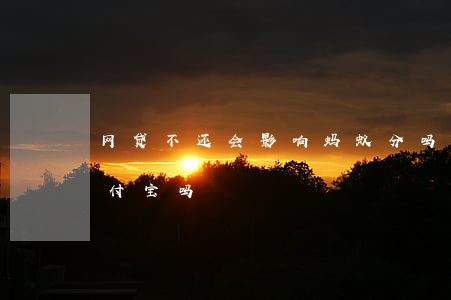 网贷不还会影响蚂蚁分吗(网贷不还会影响支付宝吗)