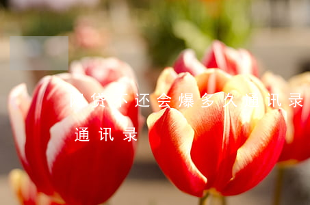 网贷不还会爆多久通讯录(网贷不还会爆多久通讯录)