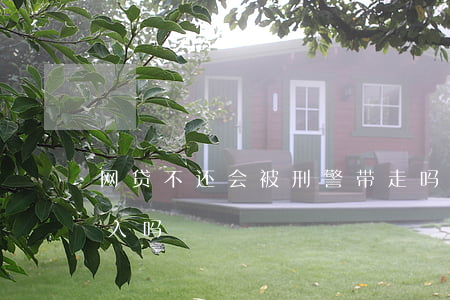 网贷不还会被刑警带走吗(网贷不还警方会介入吗)