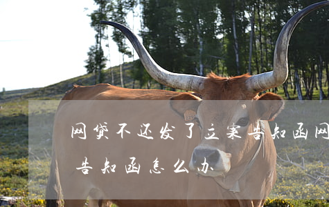 网贷不还发了立案告知函（网贷逾期收到起诉告知函怎么办）