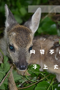 网贷不还孩子能上大学吗(网贷会不会影响孩子上大学)