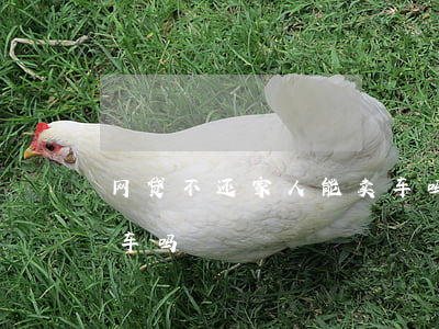 网贷不还家人能卖车吗(网贷没还清能贷款买车吗)