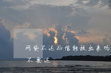 网贷不还征信能拔出来吗(不上征信的网贷要不要还)