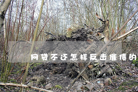 网贷不还怎样反击催债的(如何应对网贷催收)