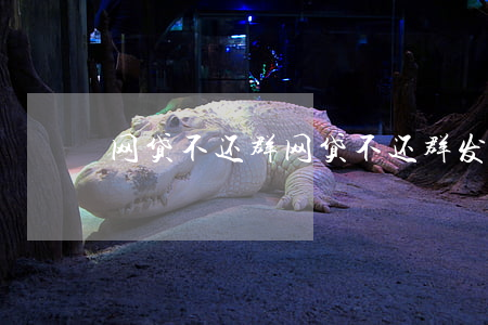 网贷不还群，网贷不还群发通讯录可以报警吗