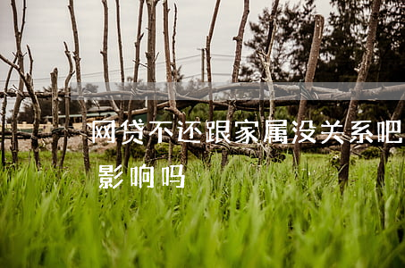 网贷不还跟家属没关系吧(网贷不还对子女有影响吗)