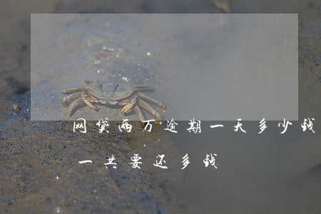 网贷两万逾期一天多少钱(网贷一万逾期一年一共要还多钱)