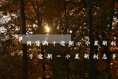 网贷两千逾期一个星期利息多少钱-网贷两千逾期一个星期利息多少钱啊