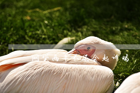 网贷两年不还会起诉吗