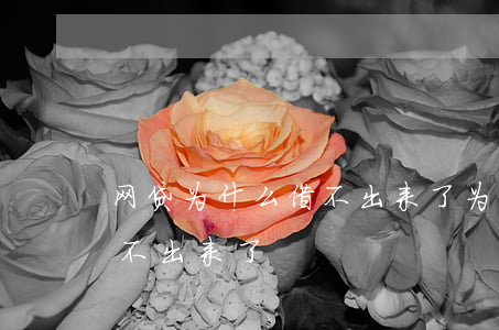 网贷为什么借不出来了(为什么现在网贷都借不出来了)
