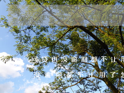 网贷也没逾期都不让用了怎么回事-网贷也没逾期都不让用了怎么回事呢