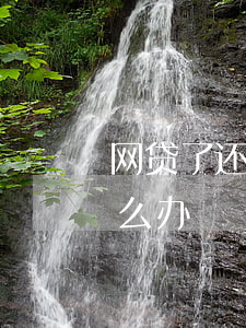 网贷了还不上怎么办呢-网贷确实还不上怎么办