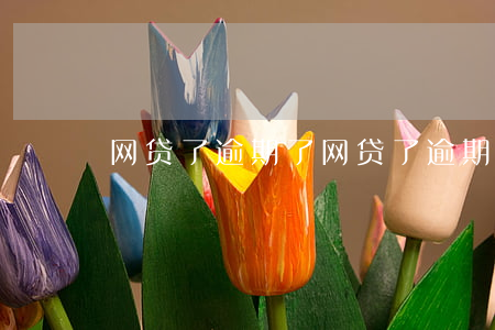 网贷了逾期了（网贷了逾期了）