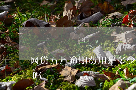 网贷五万逾期费用是多少(网贷逾期5天严重吗)