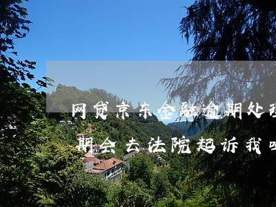 网贷京东金融逾期处理方案(京东金融网贷逾期会去法院起诉我吗)