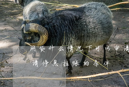 网贷什么情况下可以申请停息挂账-网贷申请停息挂账的条件