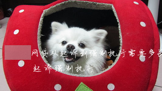网贷从起诉到强制执行需要多长时间（网贷说起诉强制执行）